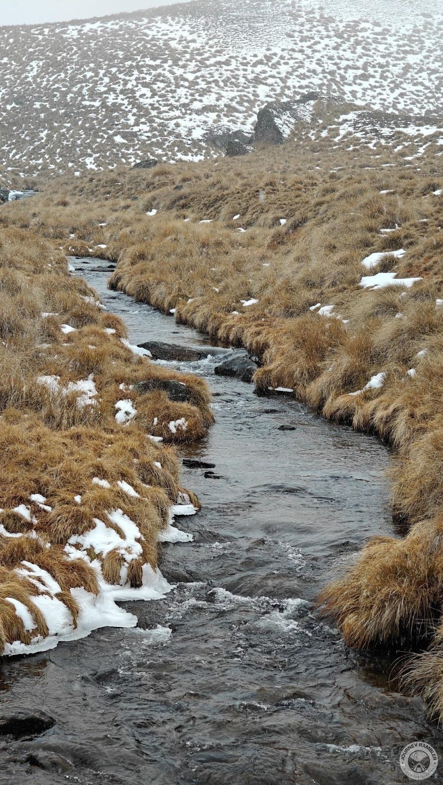 river that was running through the grass