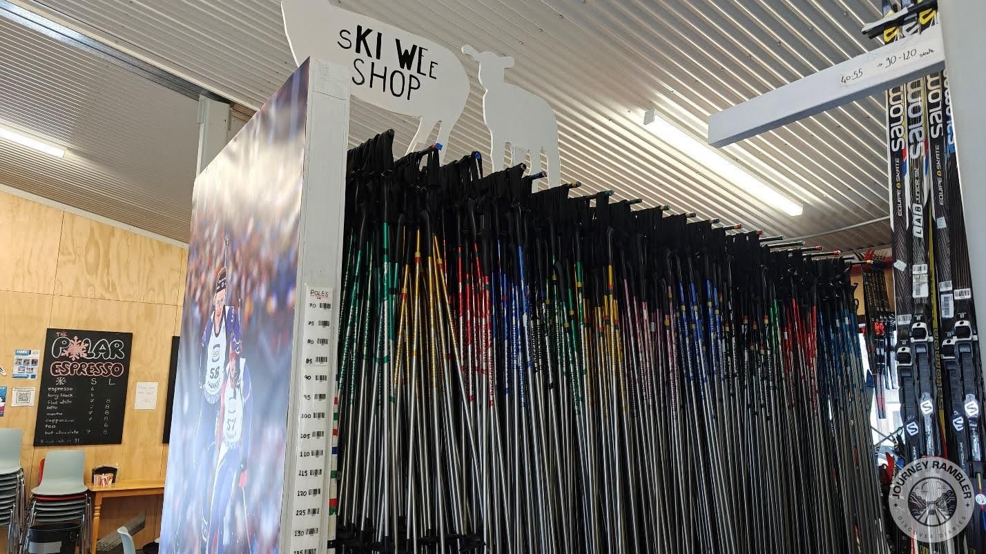 ski poles