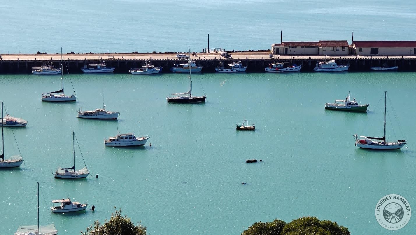 small ships and yachts out on the water