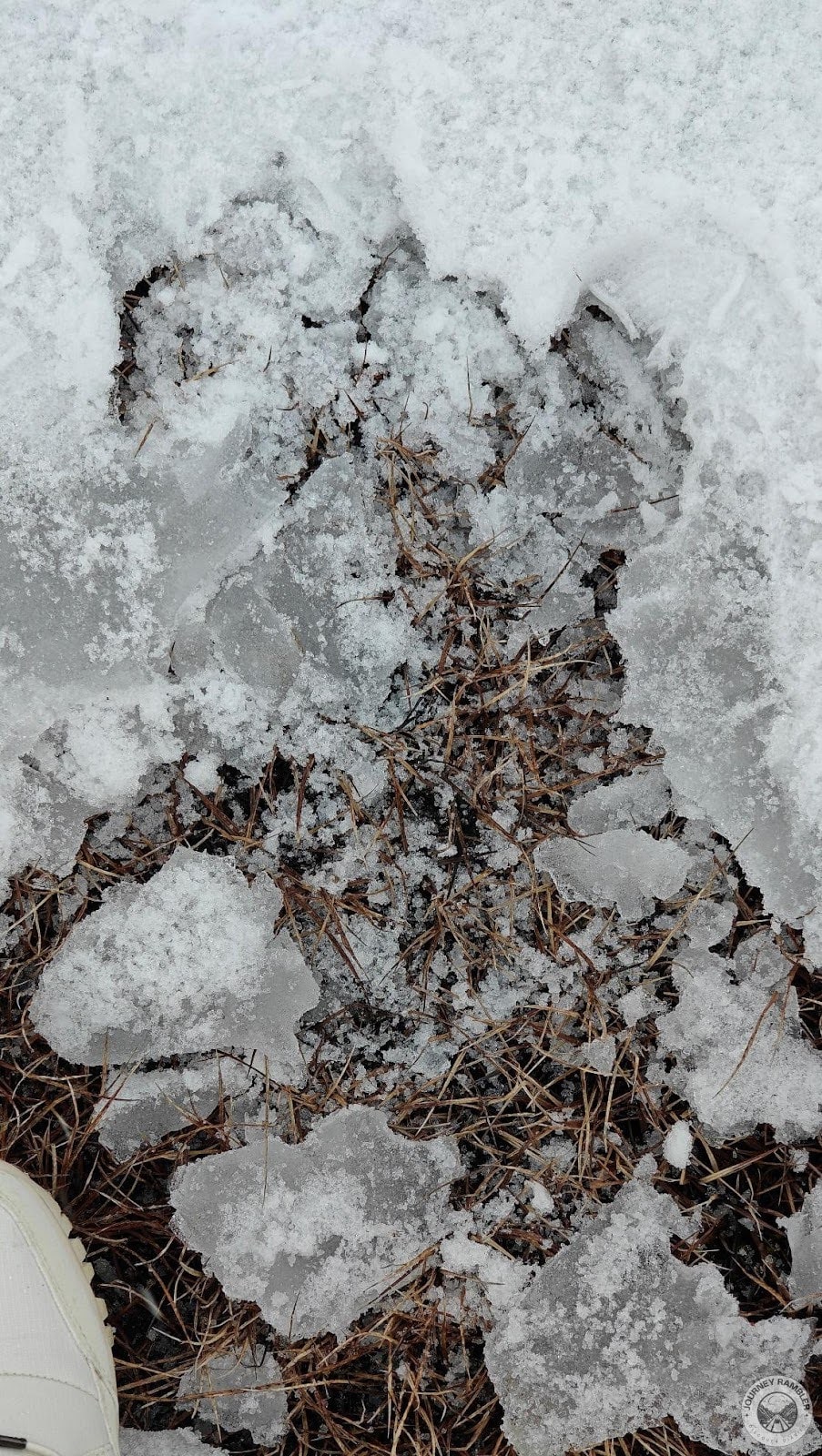 snow had cracked in some places