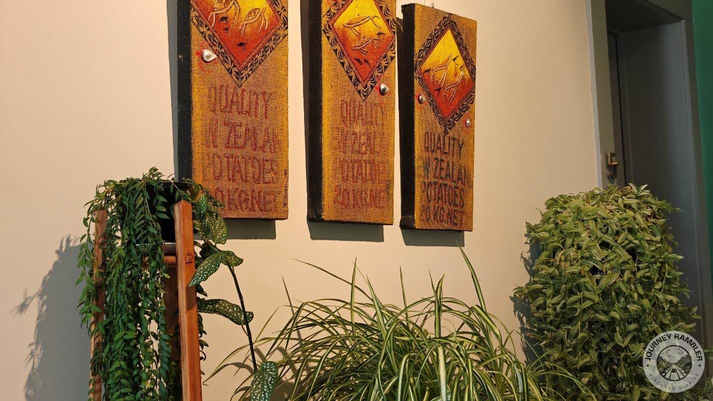 some potted plants in the room