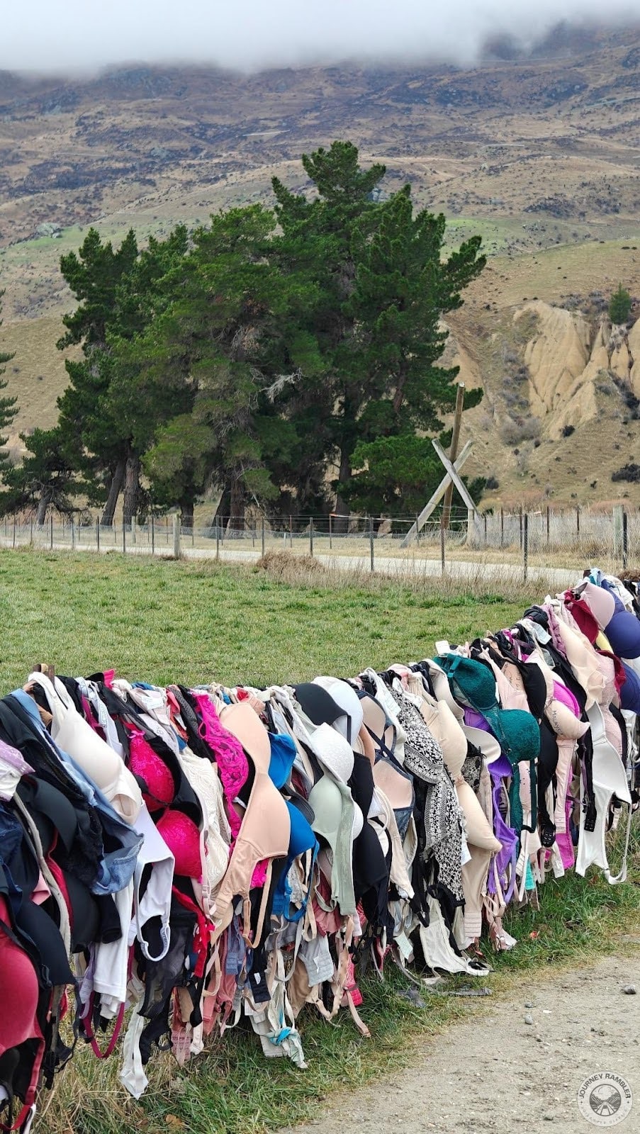 story of Bradrona was very interesting