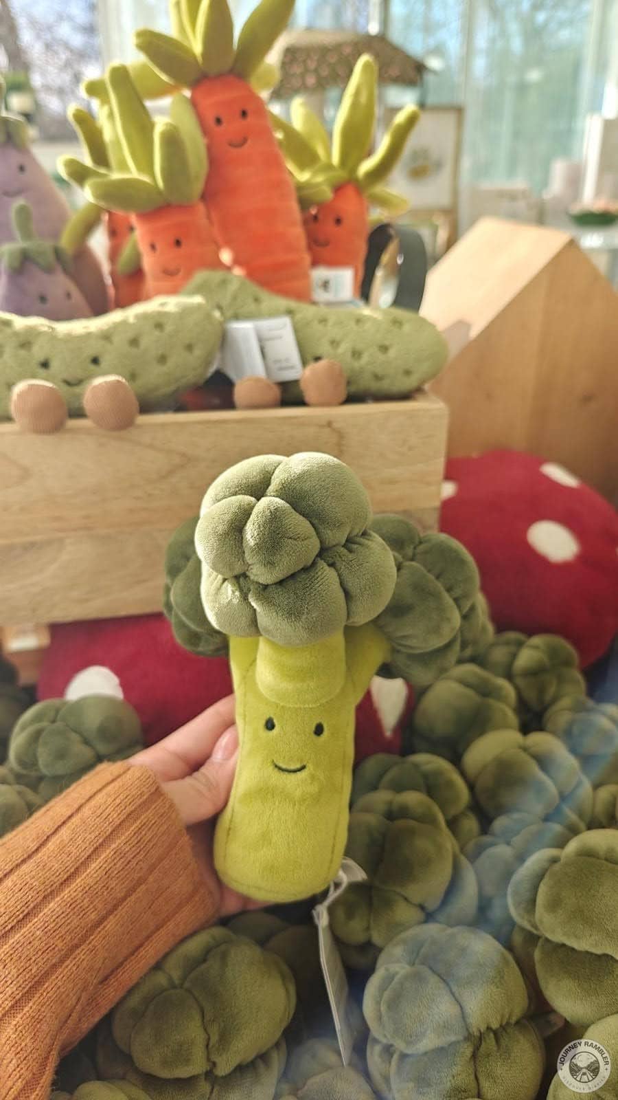 stuffed toys of broccoli, mushrooms and carrots