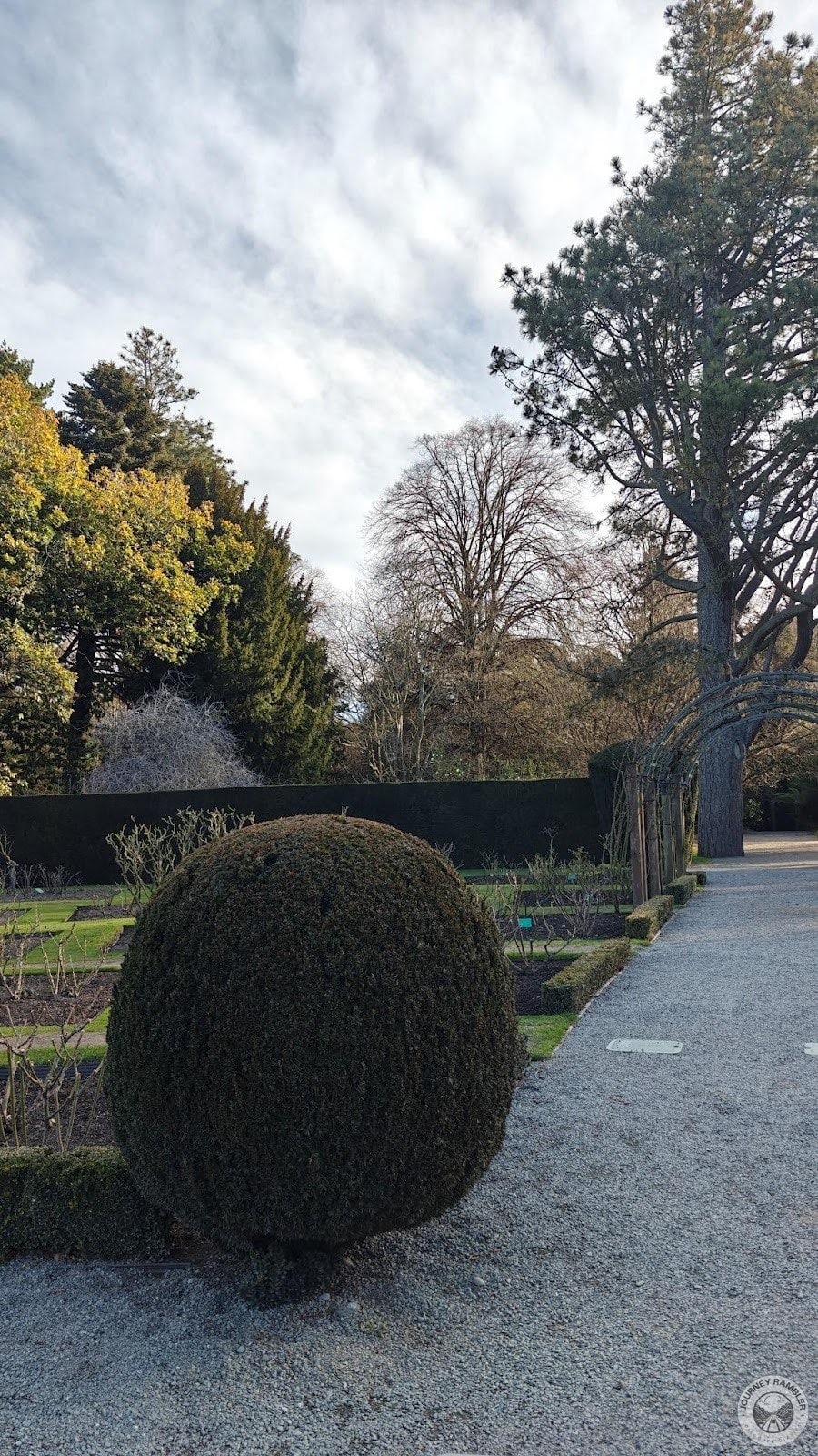 topiaries here are likely made from the same plant