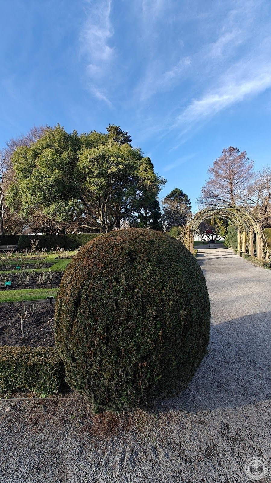 topiary