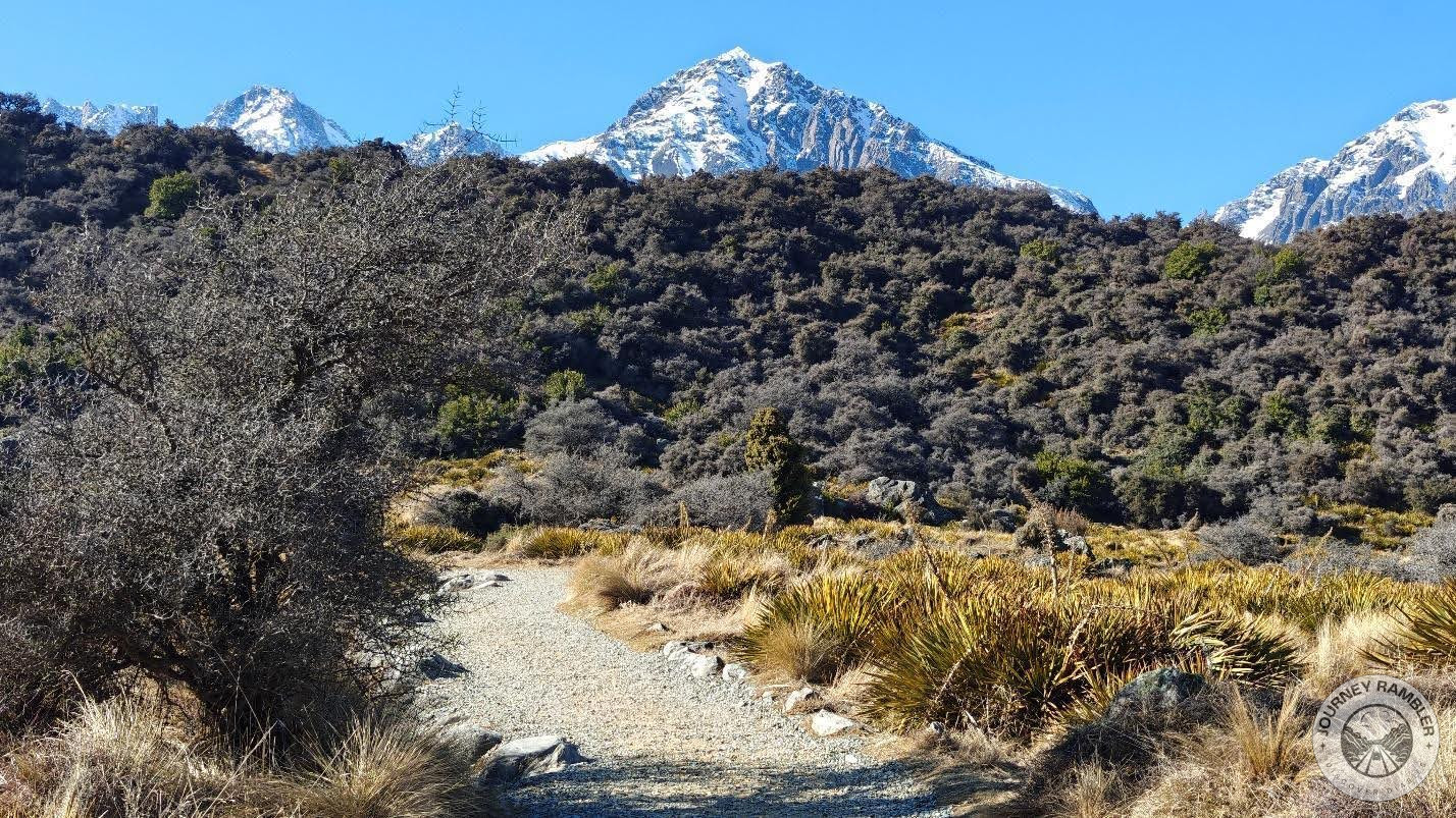 trail looks kind of drab right now