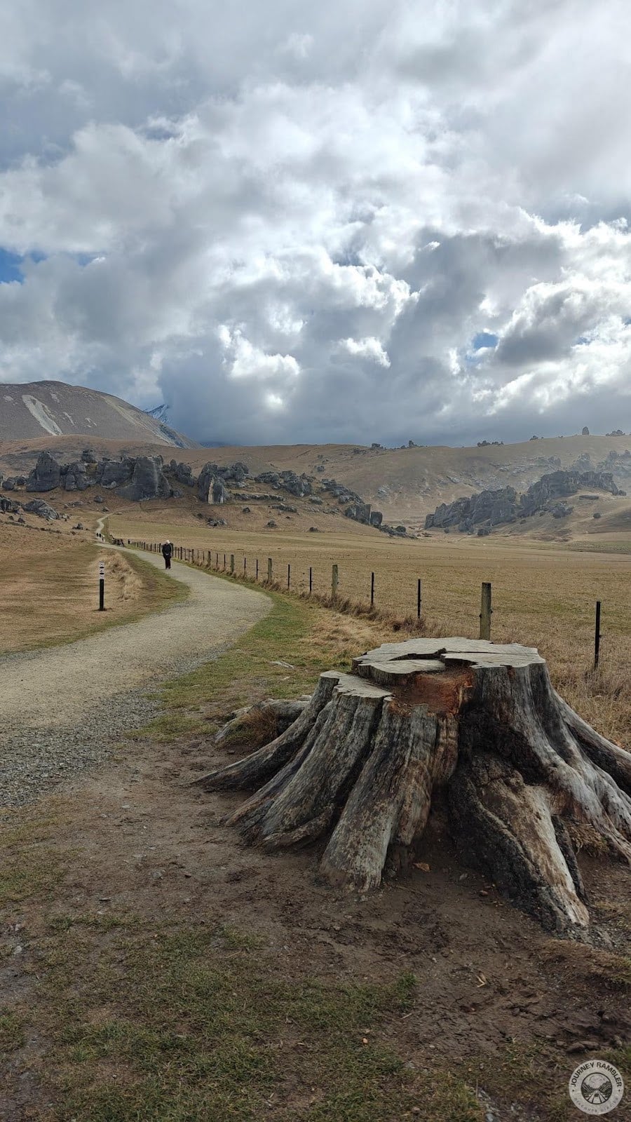 tree stump