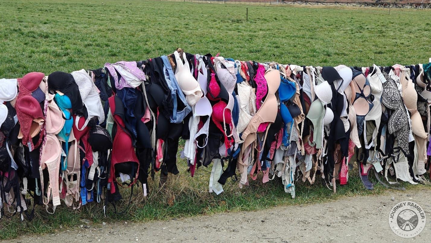 unique memory from my New Zealand trip