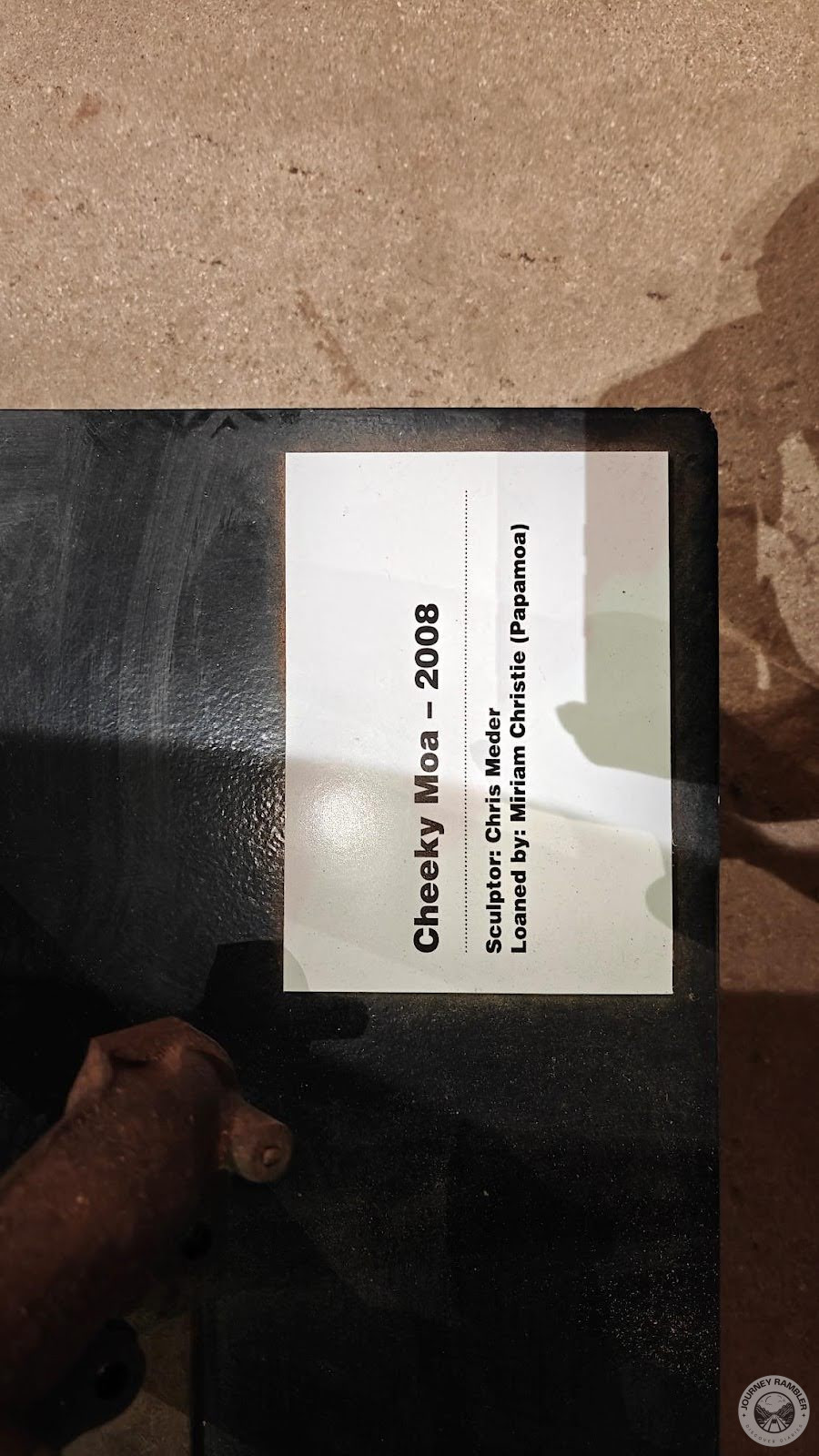 Cheeky Moa description