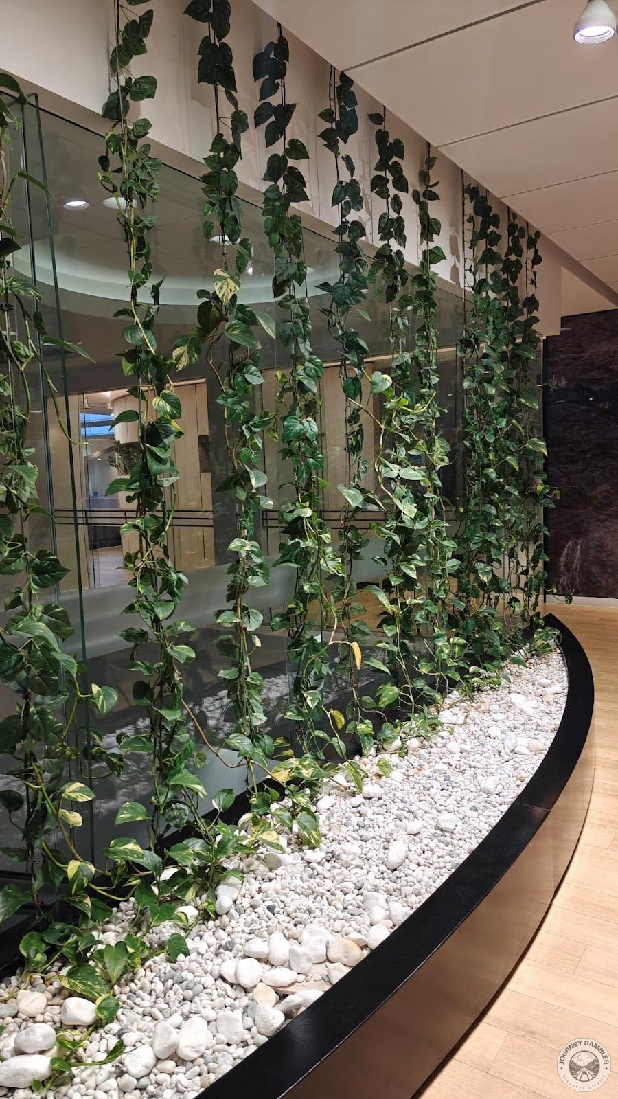 Creepers and climbing plants were draped over the glass wall