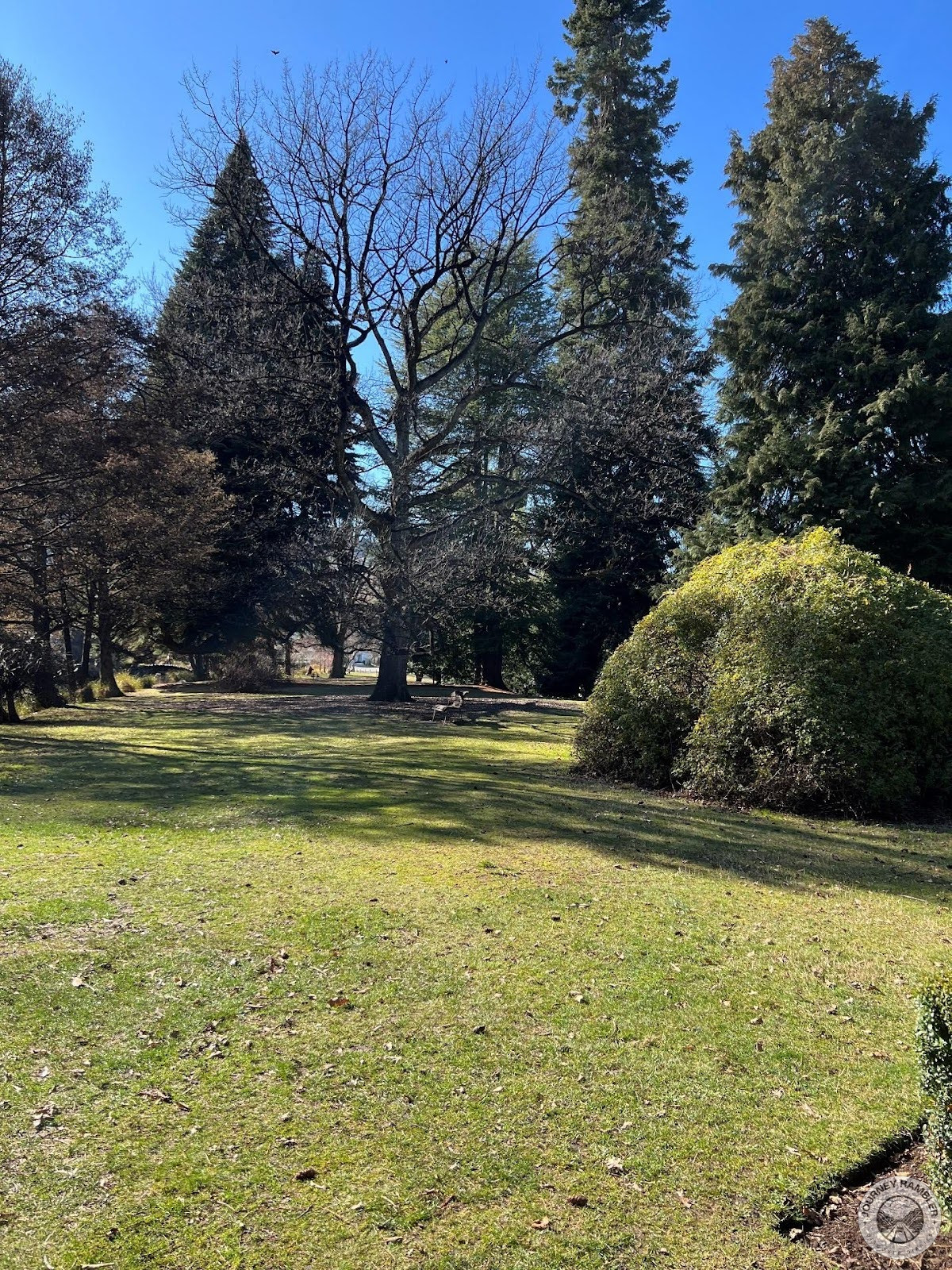Dried brown leaves had fallen on the lawns