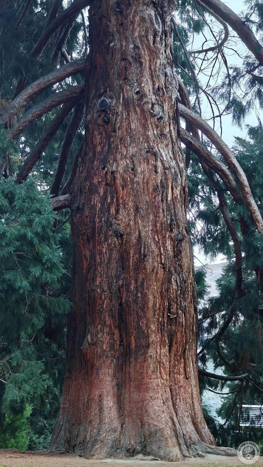 I actually enjoyed being in Wanaka Sequoia more