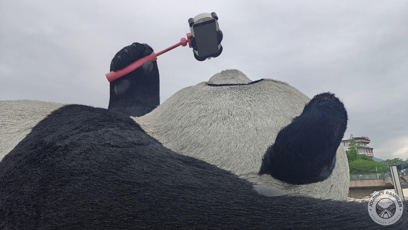 I had to look up to see the top of its head and ears