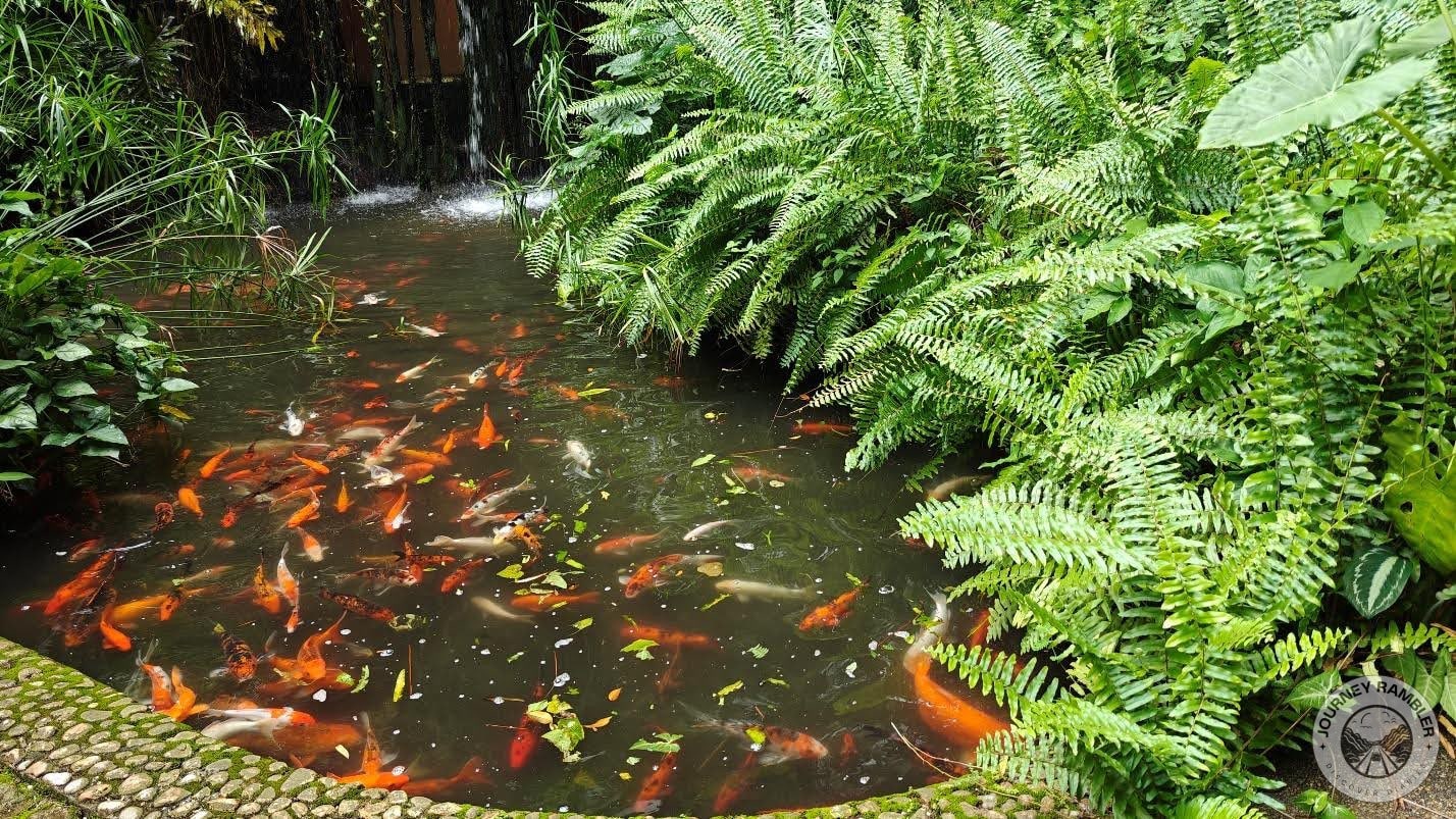 I stood in the garden and admired the view for a long time