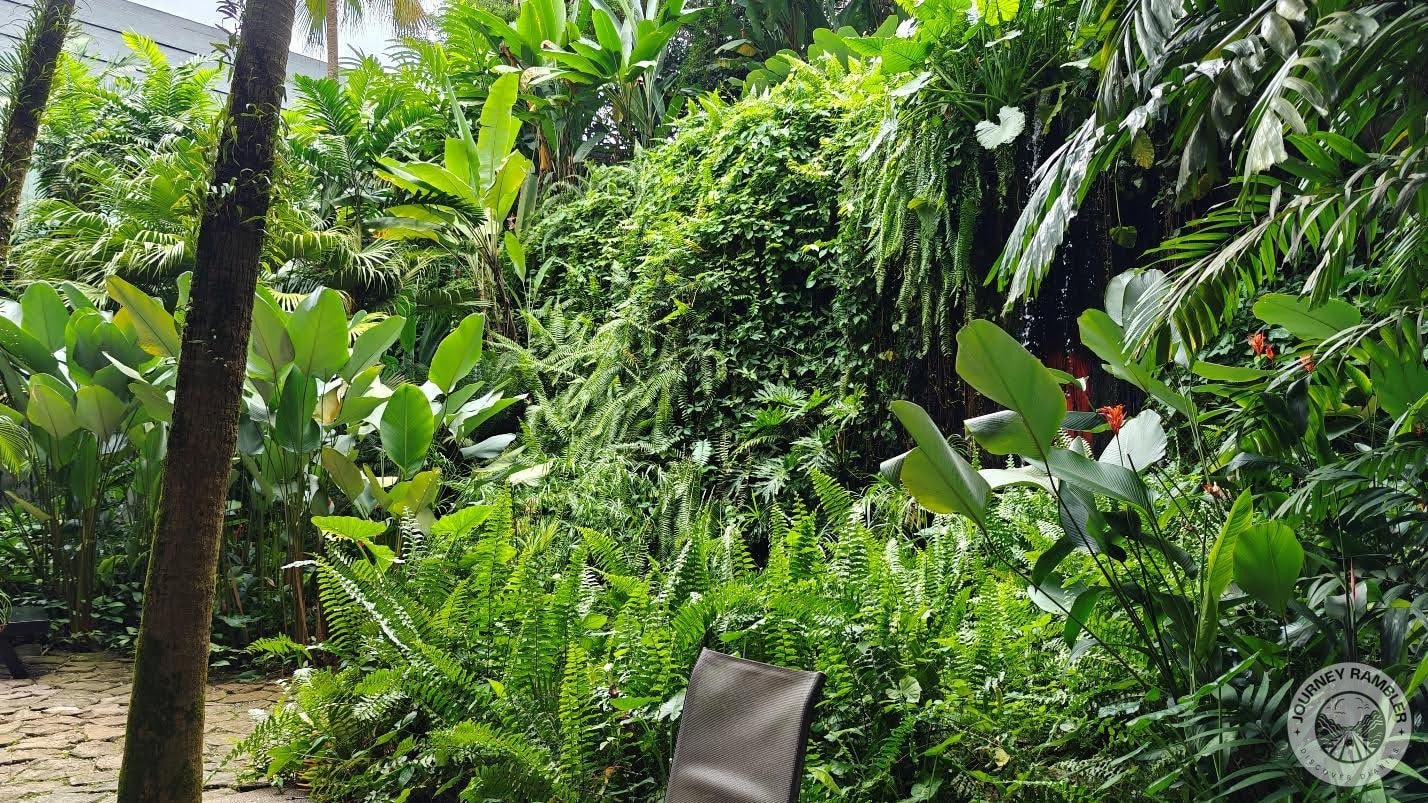 I walked towards the patio