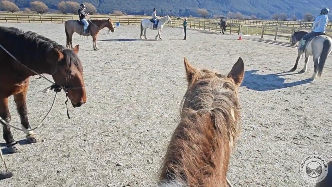 I'd finally mounted my horse