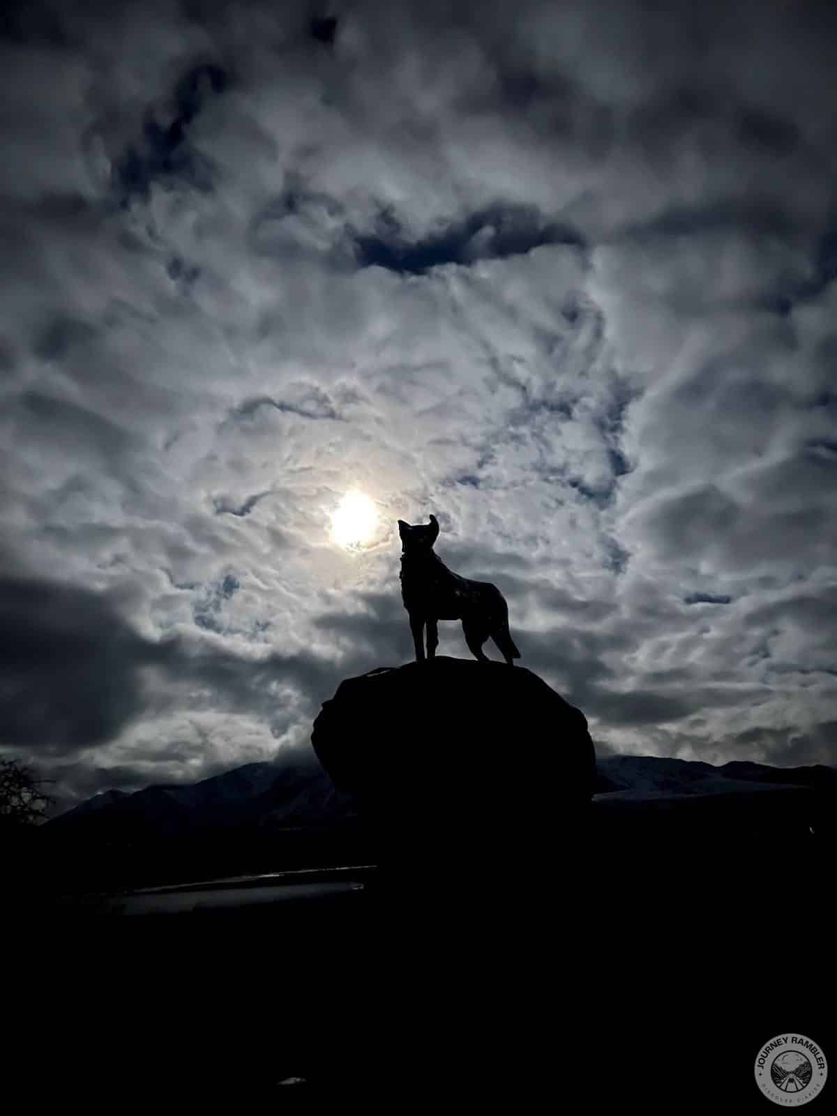 It felt like the sheep dog statue was guarding the small township of Lake Tekapo