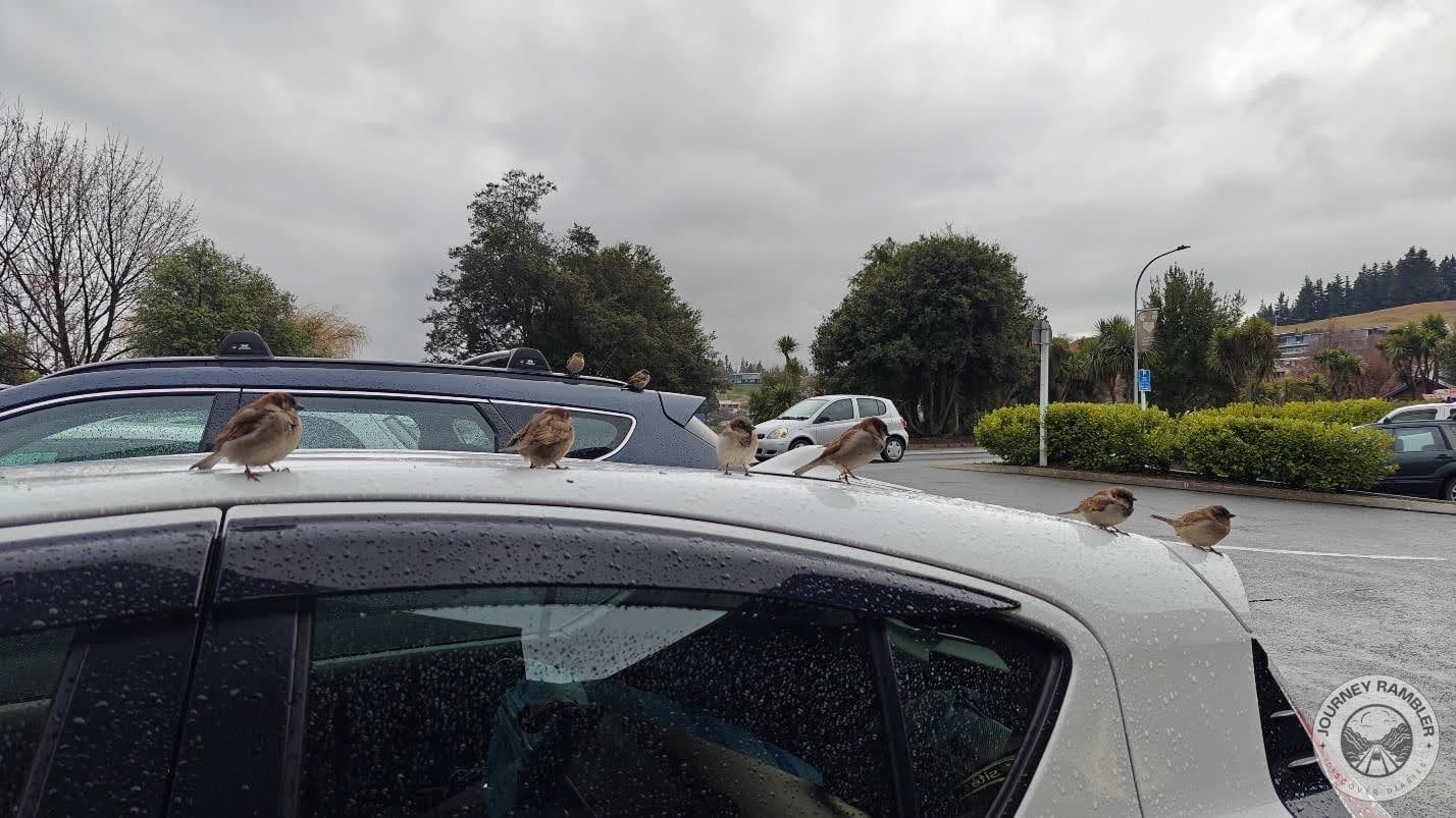 It was raining a little