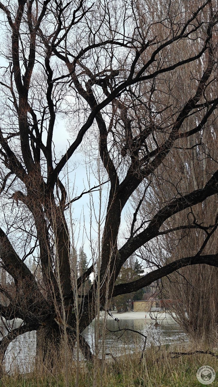 My visit to New Zealand coincided with the winter season