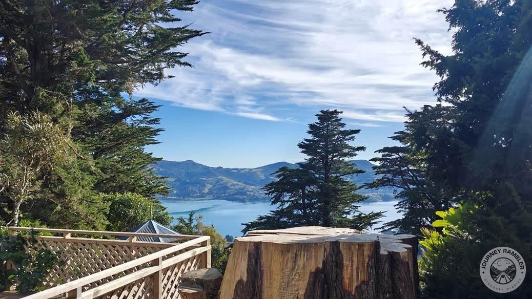 Otago Harbour view again