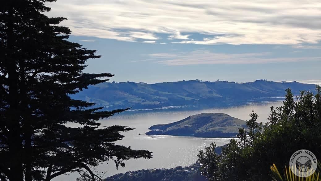 Otago Harbour