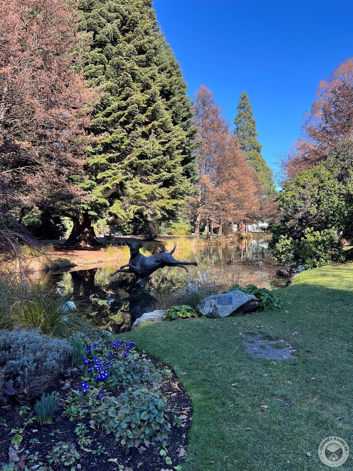 Some of the trees had turned brown in the winter