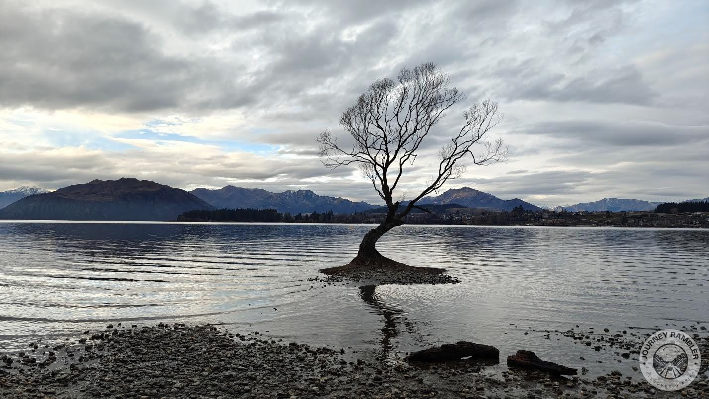 That Wanaka Tree, it’s a bit short and its branches look really frail