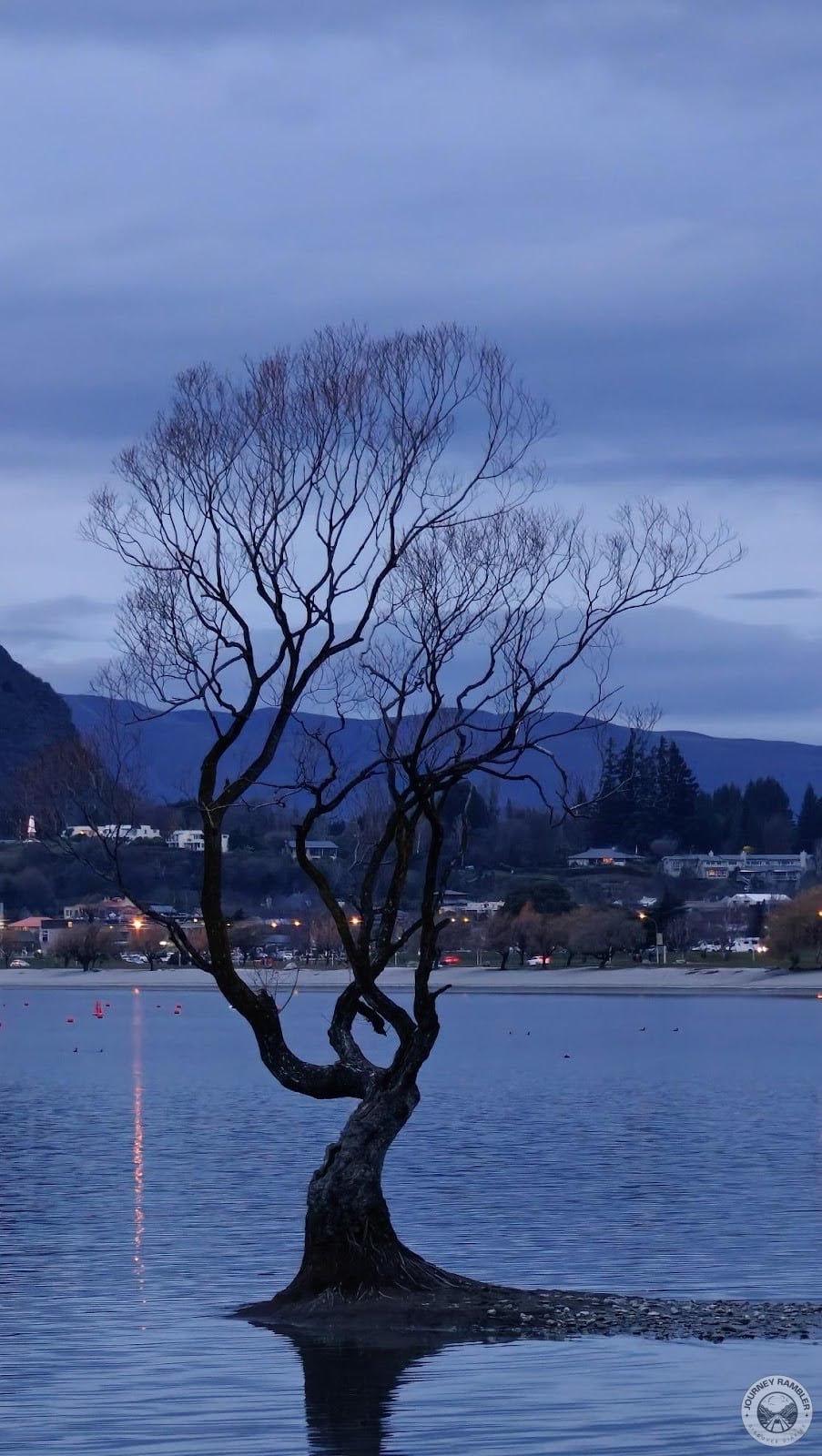 That Wanaka Tree with the town in the background