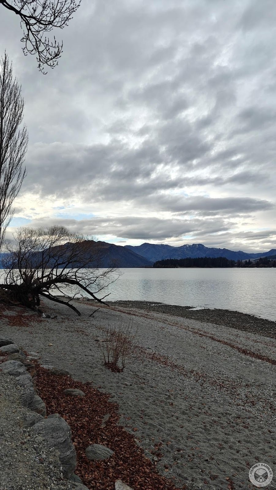 That Wanaka Tree