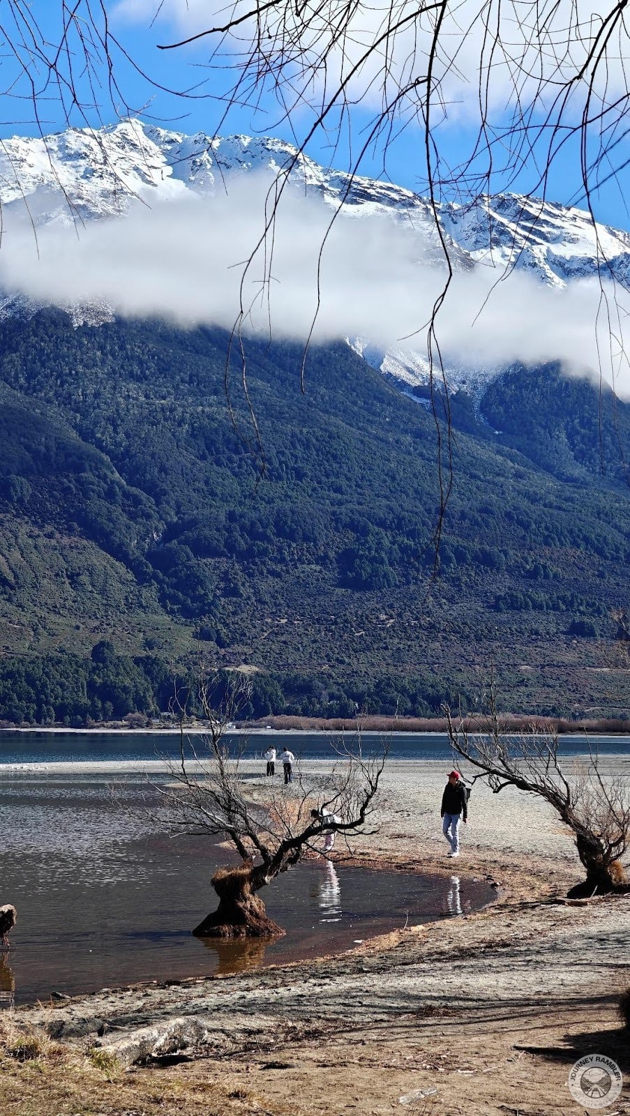 The Willow Trees of Glenorchy