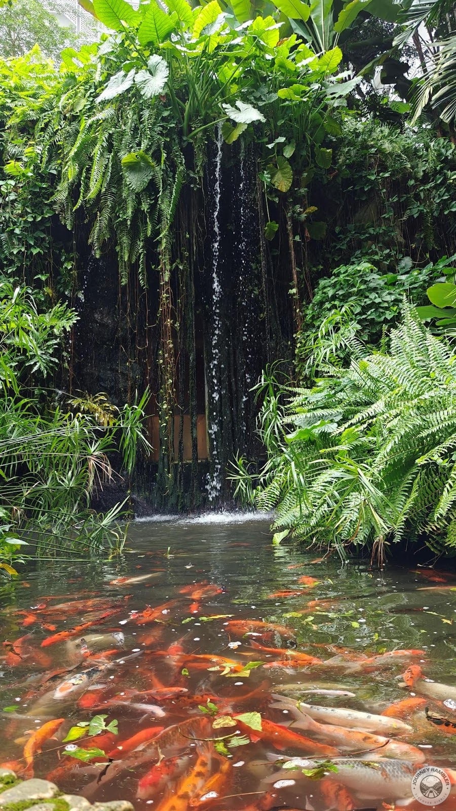 They were all in bright shades of orange and red