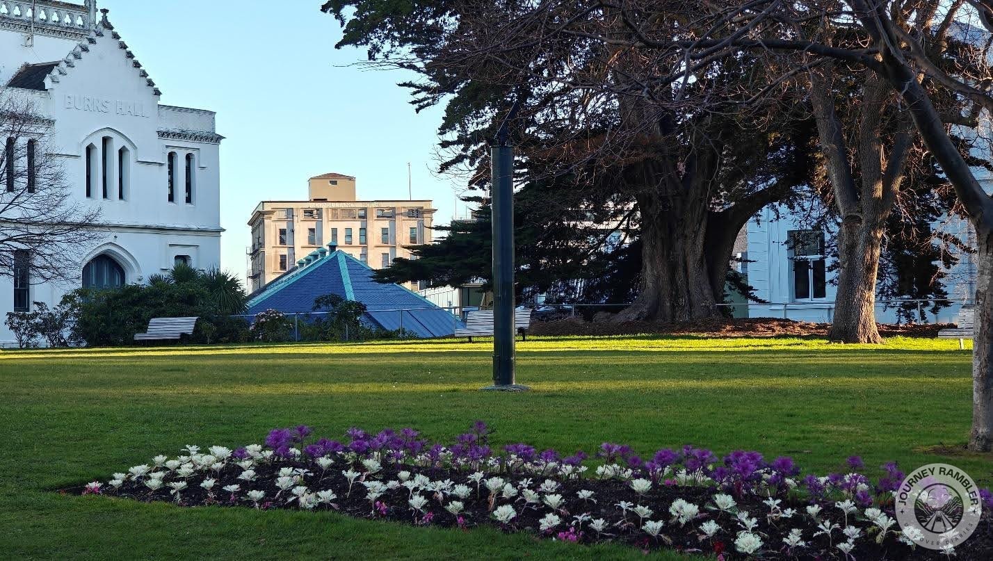 White and purple flowers were growing in the beds