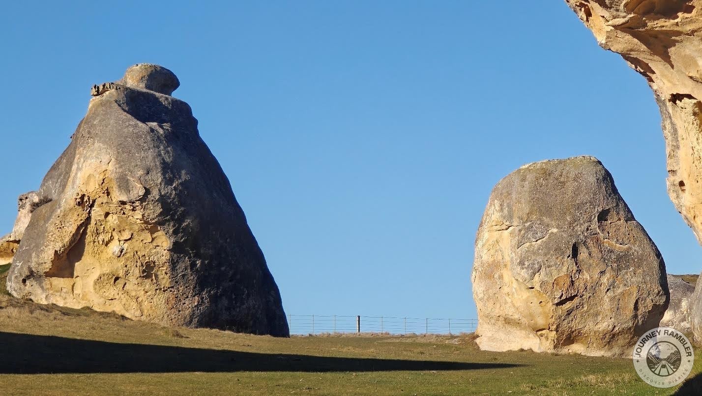 animals can also leave their droppings