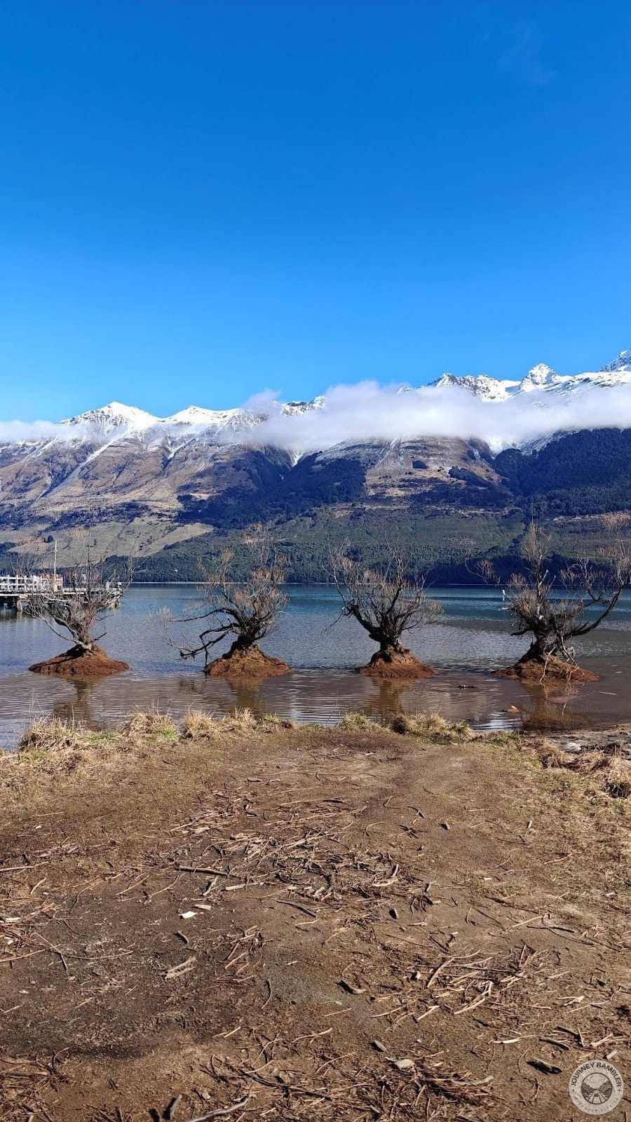 another angle that shows the Willow Trees and the rest of the Humboldt Mountains