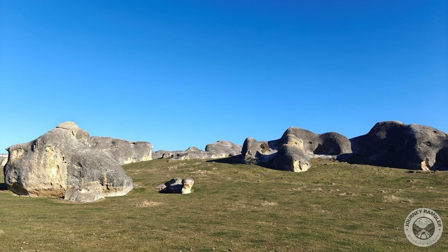 another look at one of the fat lizards