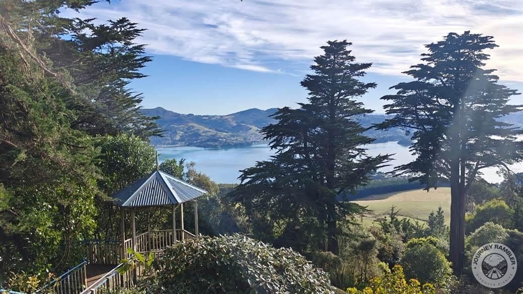 better view of Otago Harbour