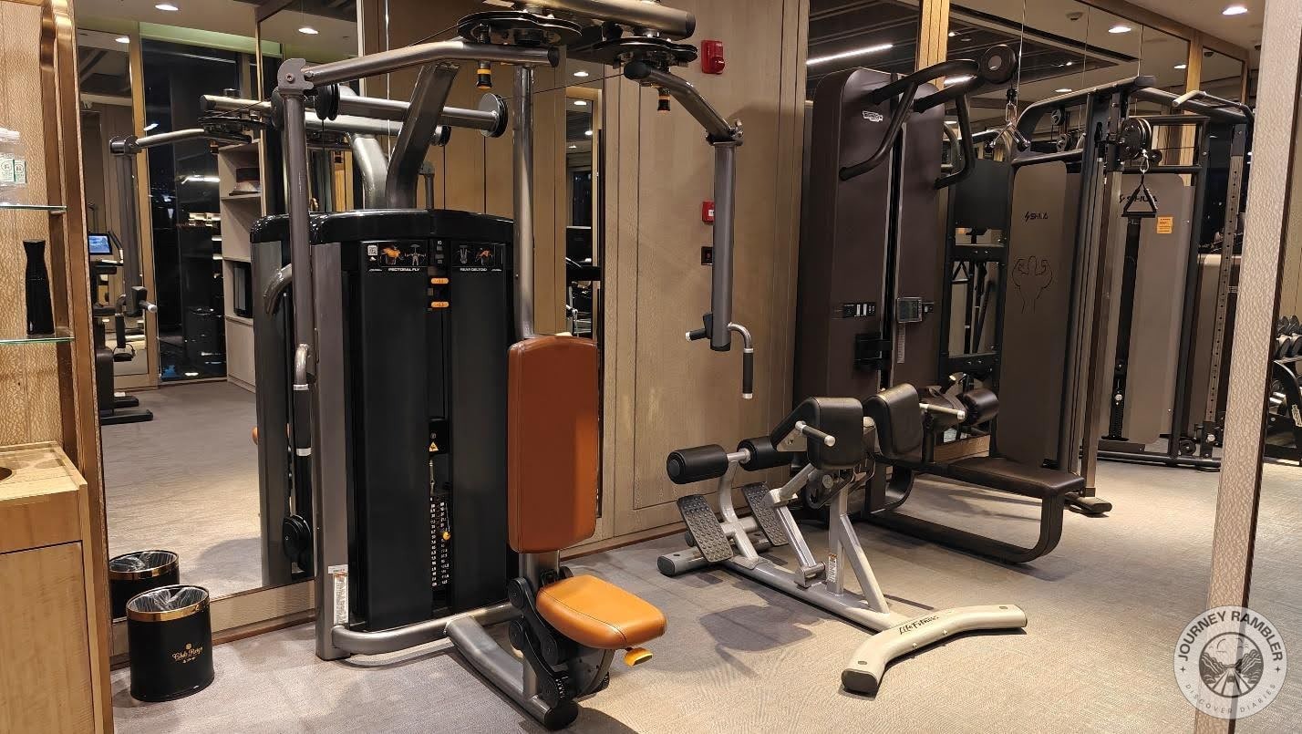 chest press machines and pull up bars