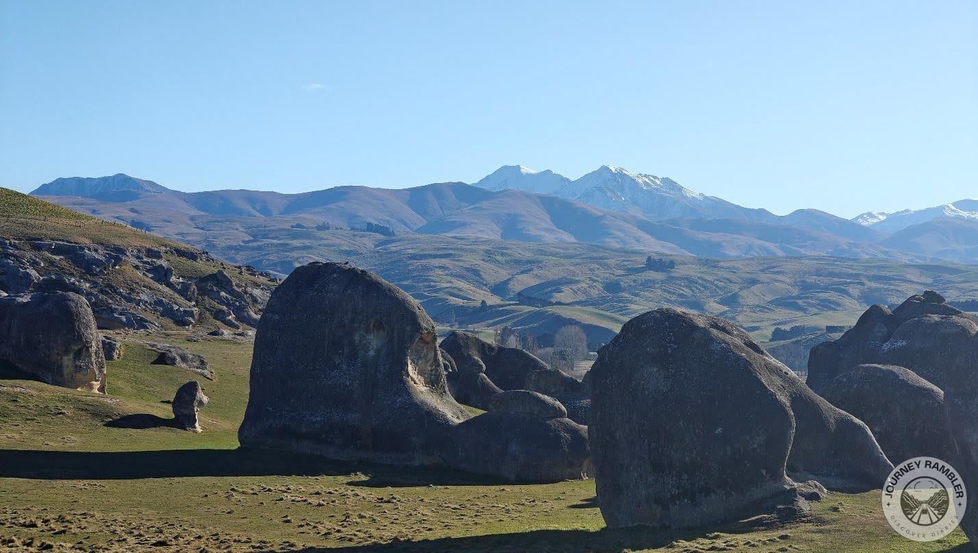 curvature of their humps