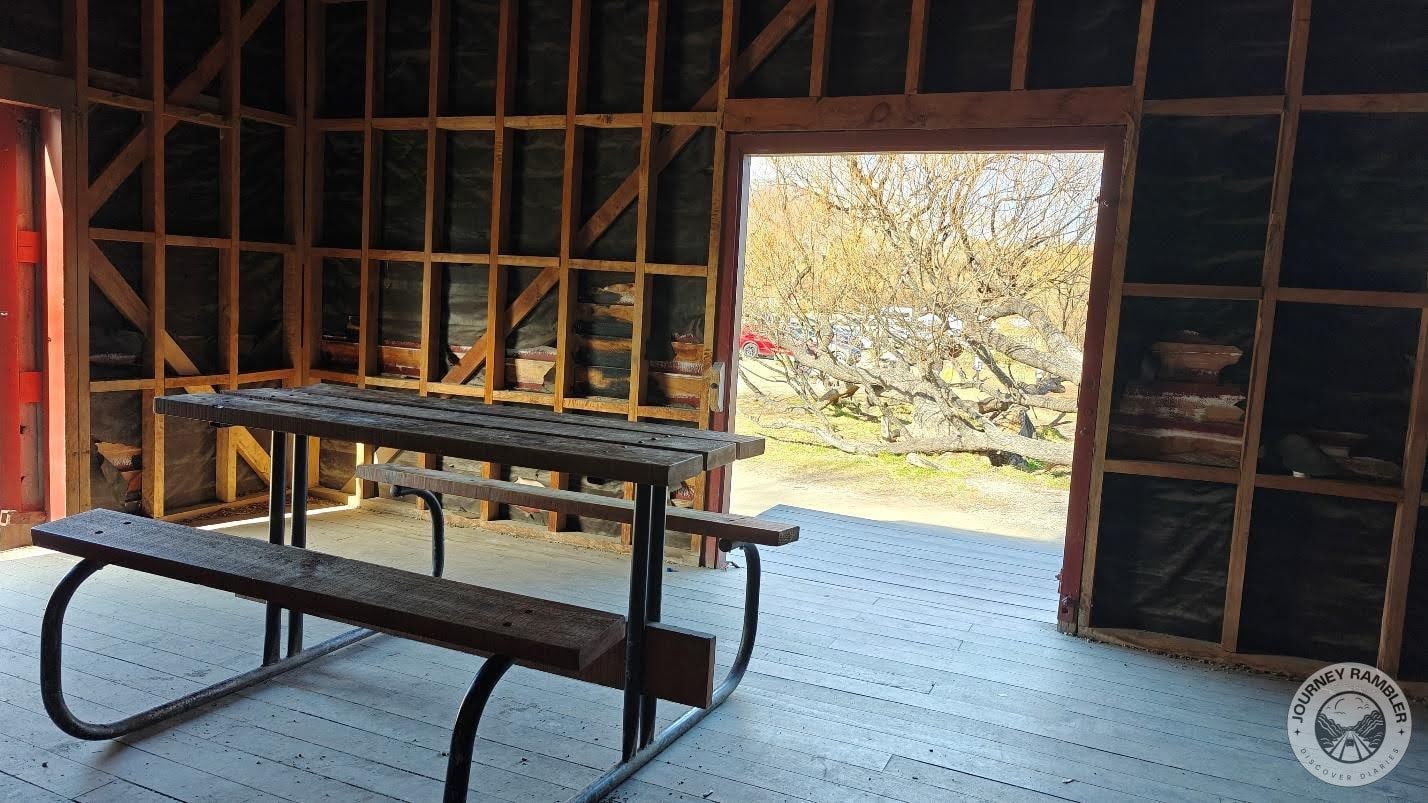 door facing the car park accessible through Benmore Place has this really nice view of a tree that’s growing sideways