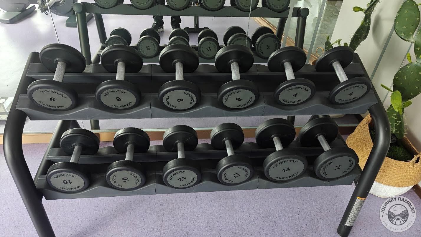 dumbbells starting at 4 kg and going up to 14 kg