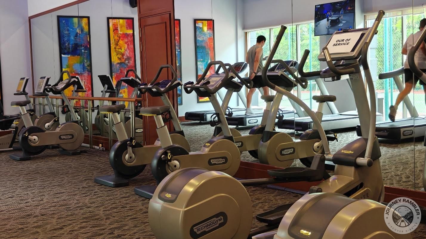 exercise bikes and treadmills in the gym