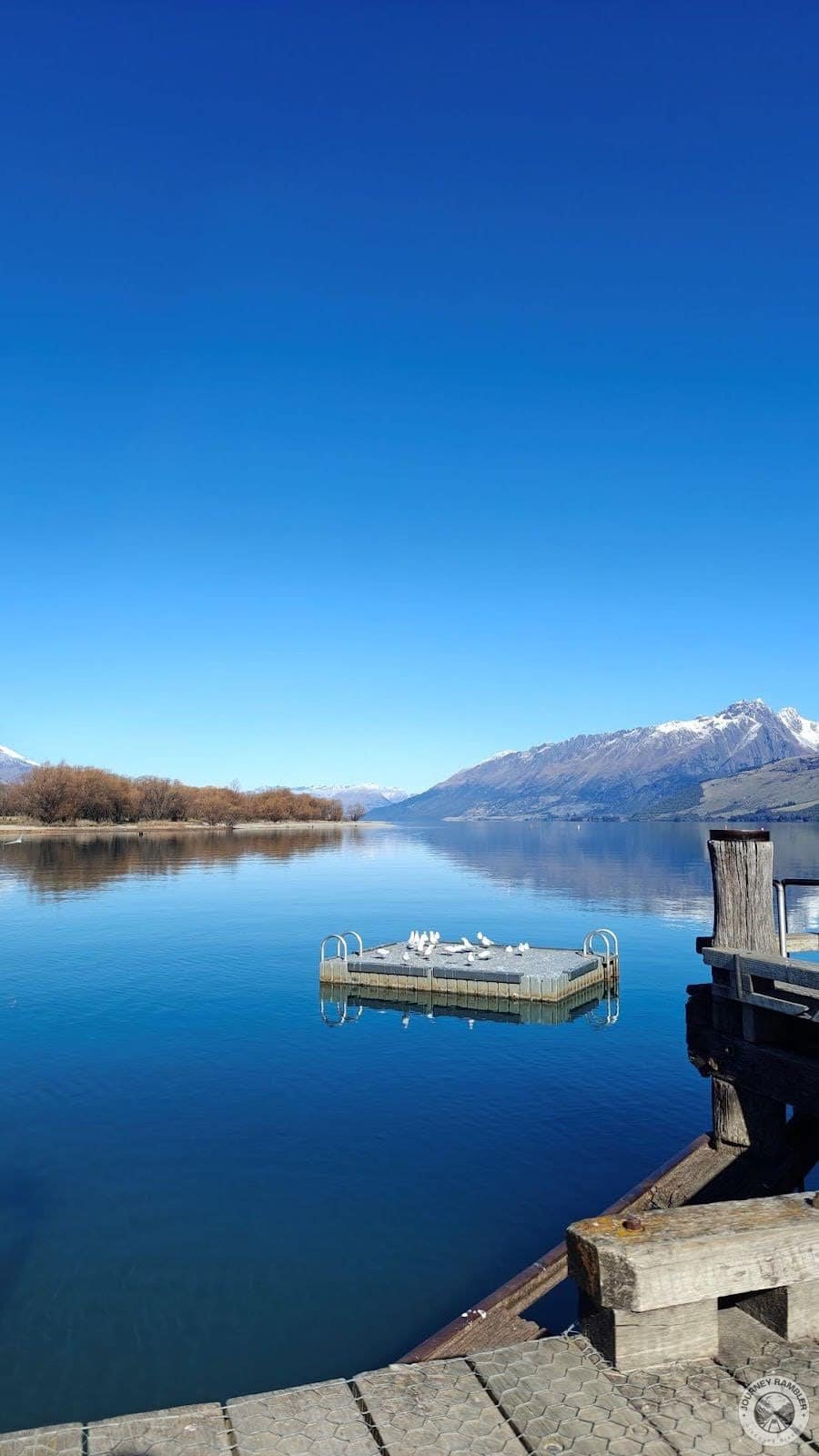 floating platform that’s being used by the Black-billed Gulls as some sort of meeting area