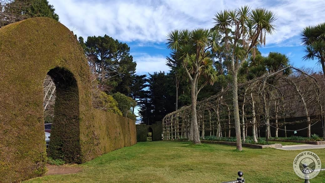 hedge and the pleached alley