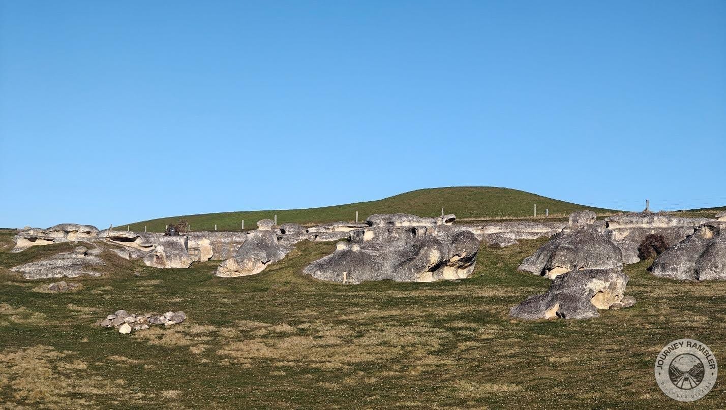 it is tempting to start a picnic here