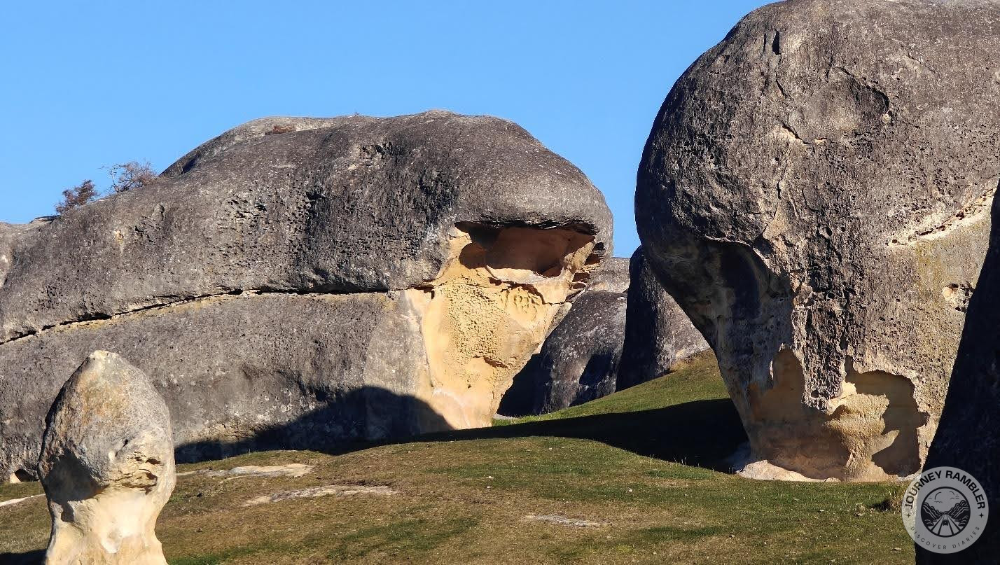 it looks much more like a slug