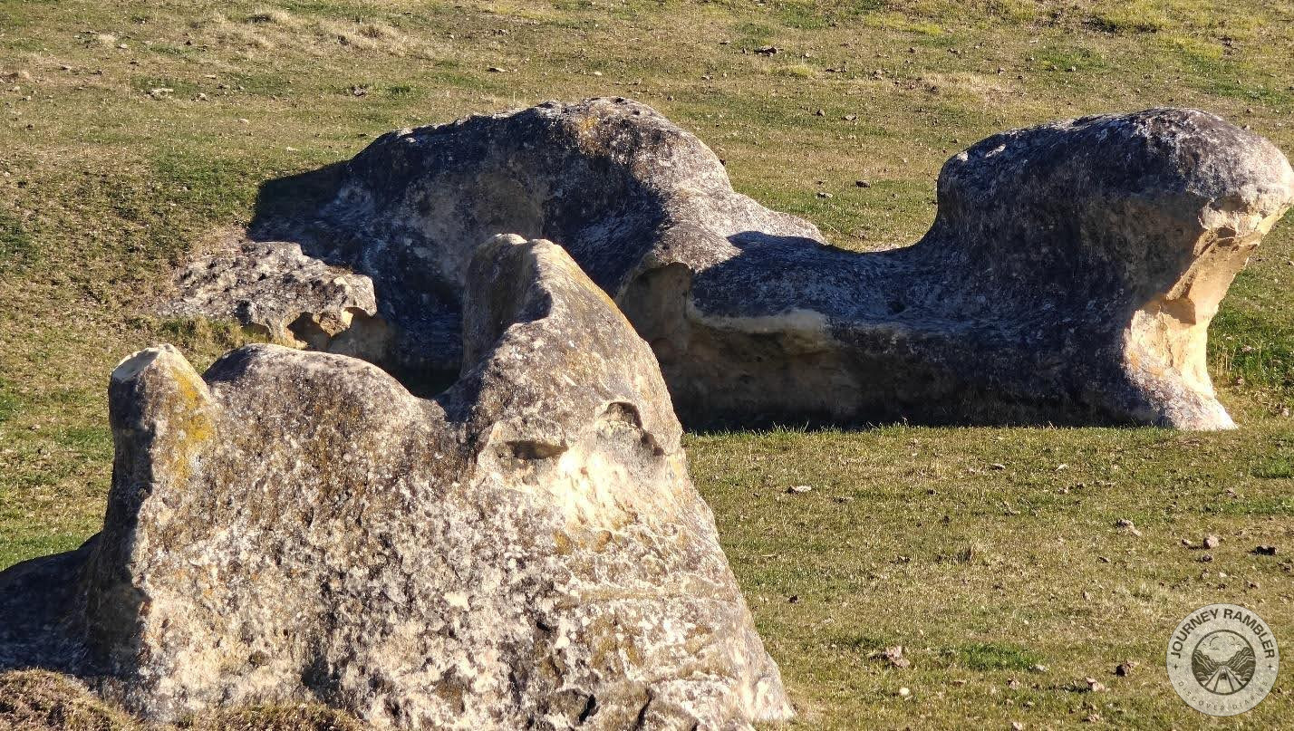 it’s not just people who leave stuff behind here