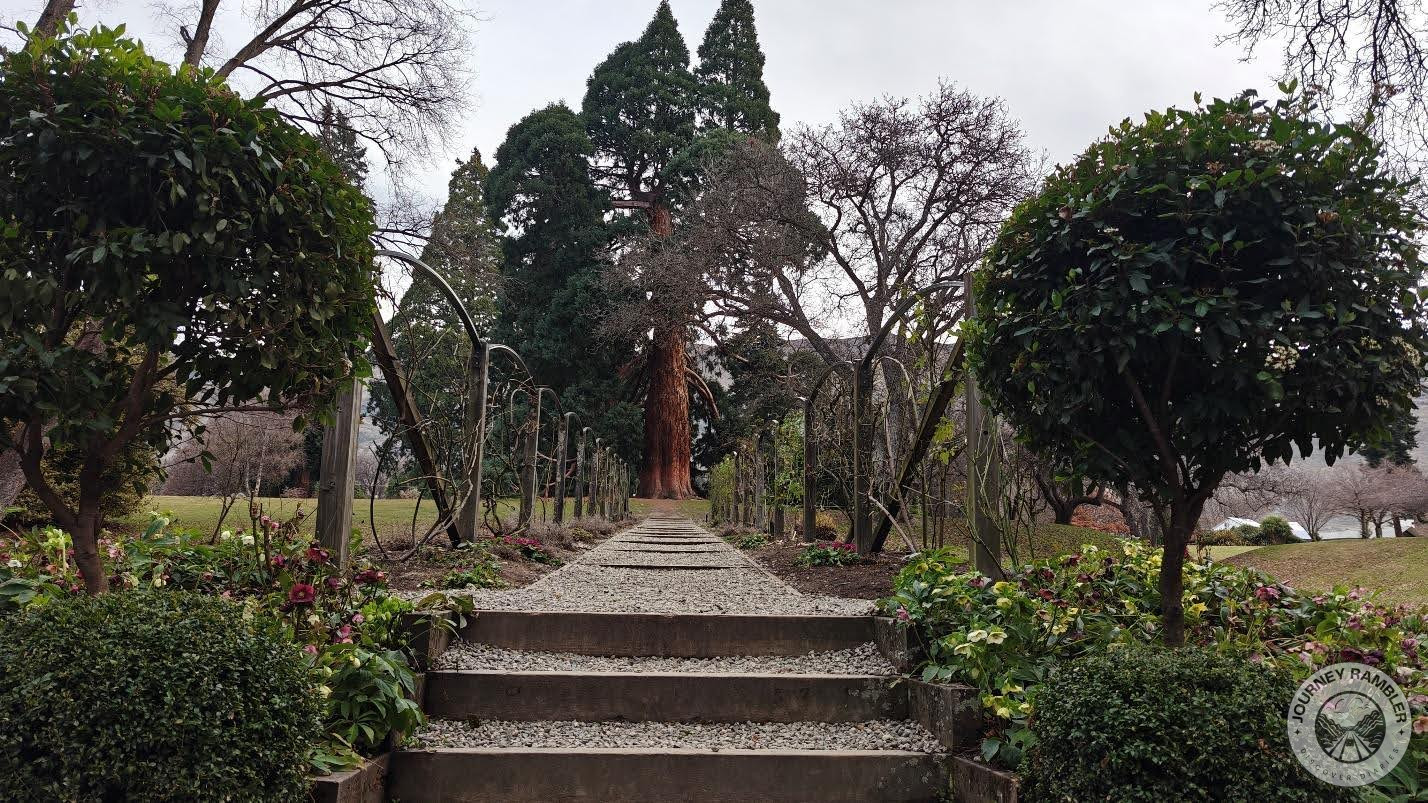 it's still just a juvenile