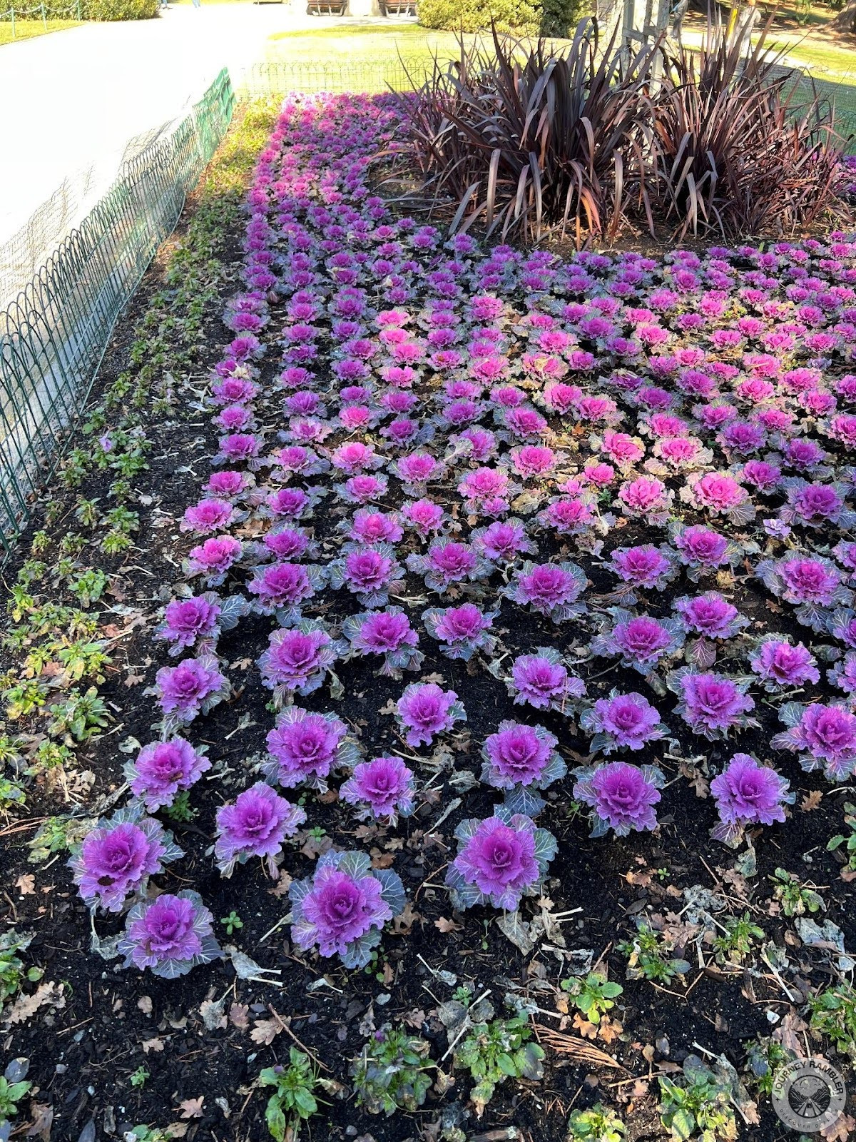 large bed filled with bright pink flowers