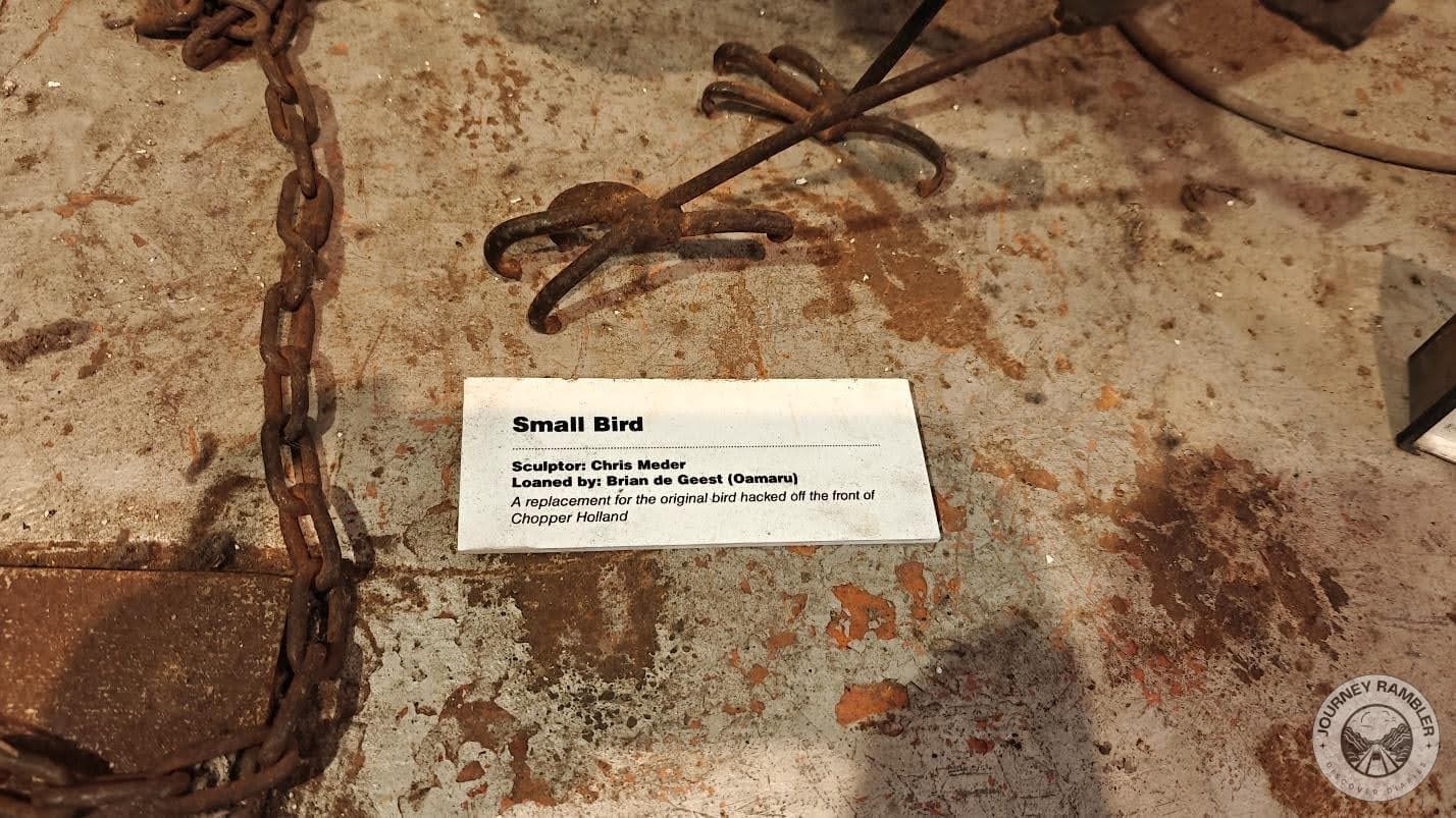 small bird description