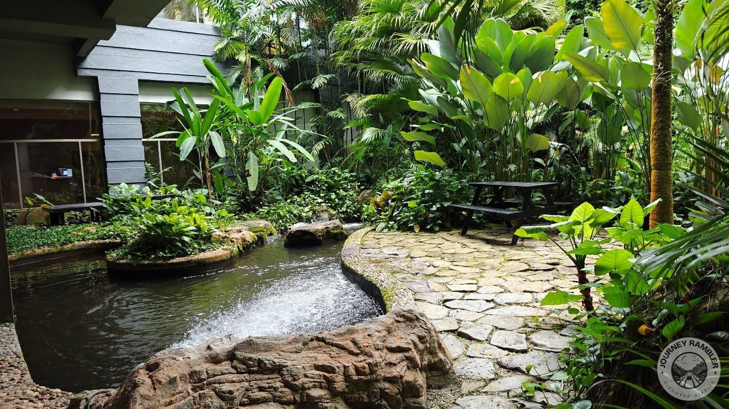 so many tropical plants everywhere